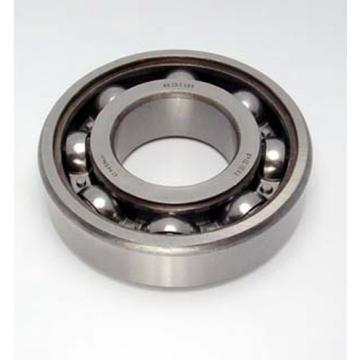 Peer Bearing 6006 C3