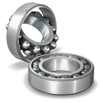 NSK Self-aligning ball bearings Thailand 2204ETN