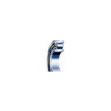 SKF NJ 2206 ECP