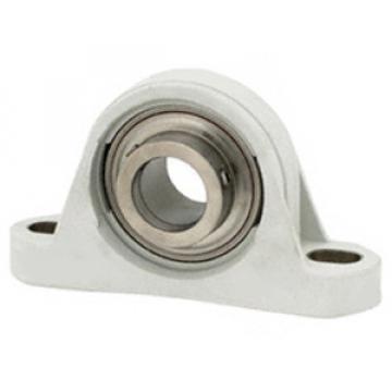 SKF CPB012SS Pillow Block Bearings