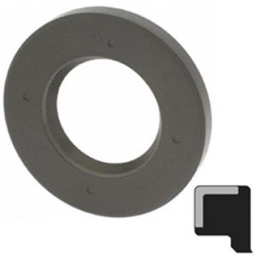 SKF 4256 Oil Seals