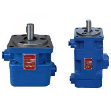 YB1 Type Double Vane Pump YB1-100/100