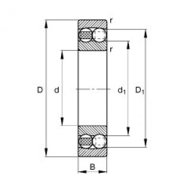 Self-aligning ball bearings - 1303-TVH