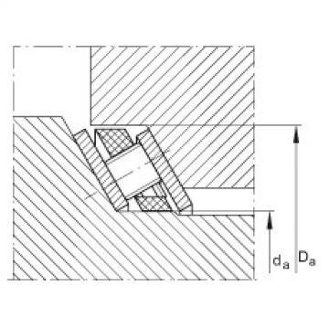 Axial angular contact roller bearings - AXS100115