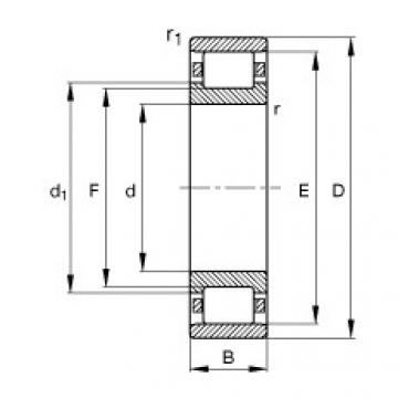 Cylindrical roller bearings - N203-E-XL-TVP2