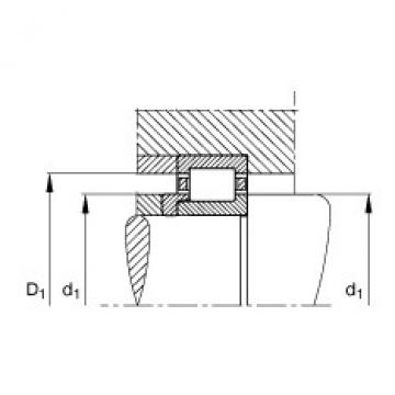 Cylindrical roller bearings - NJ202-E-XL-TVP2 + HJ202-E