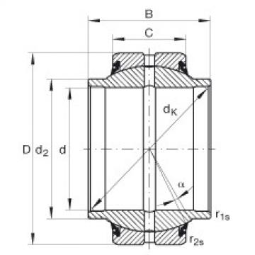 Radial spherical plain bearings - GE60-HO-2RS