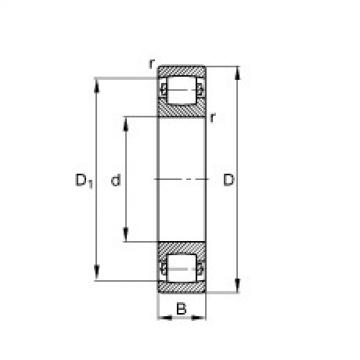 Barrel roller bearings - 20204-TVP