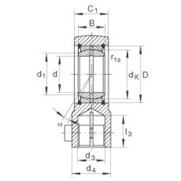 Hydraulic rod ends - GIHRK20-DO