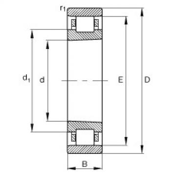 Cylindrical roller bearings - N1018-K-M1-SP