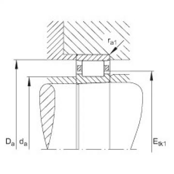 Cylindrical roller bearings - N1014-K-M1-SP