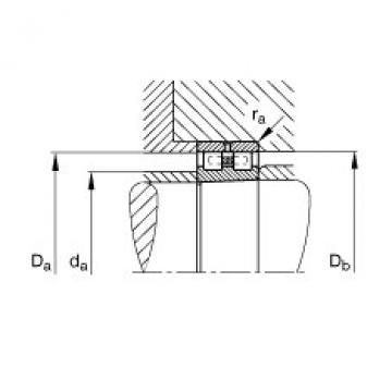 Cylindrical roller bearings - NN3017-AS-K-M-SP