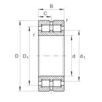 Cylindrical roller bearings - SL014844