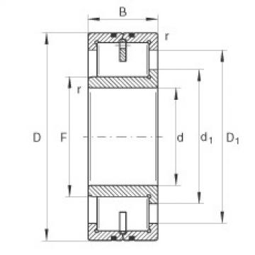 Cylindrical roller bearings - LSL192326-TB-XL