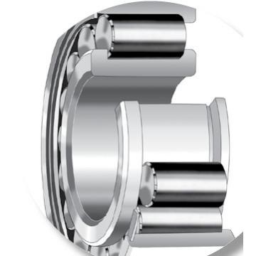 Bearing NU1036MA