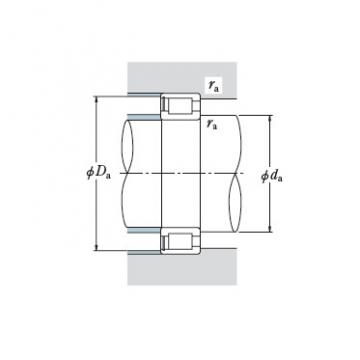 Bearing RS-5036NR