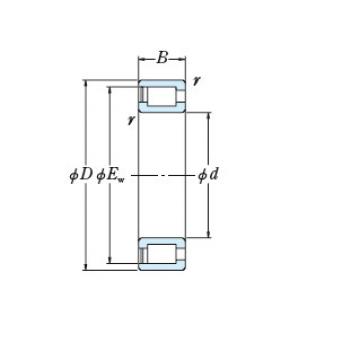 Bearing NNCF5032V