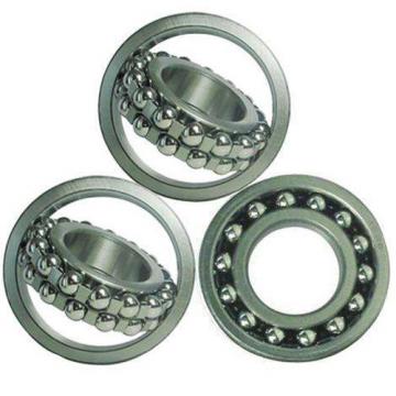 Peer Self-aligning ball bearings Singapore Bearing FHS206-19