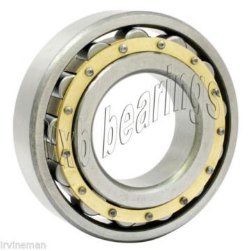 N304M Cylindrical Roller Bearing 20x52x15 Cylindrical Bearings 17515