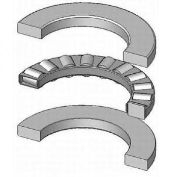 81105TN 25x42x11mm SKF Quality Cylindrical Roller Thrust Bearing