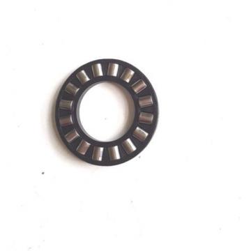 NEW 70000763 THRUST NEEDLE ROLLER BEARING