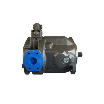 New Schwing Hydraulic 30364139 10202812 r9024361062 Rexroth Bosch Pump