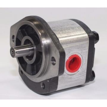 Hydraulic Gear 1PN070AG1P13D3CNXS Pump