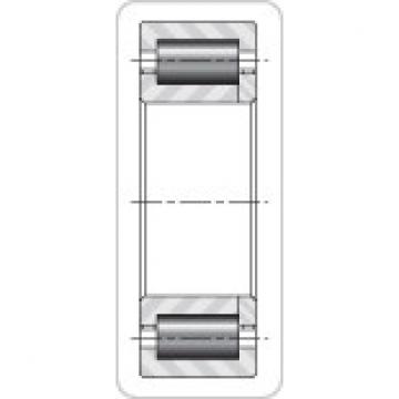 Timken NUP29/710M