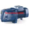 Self Priming JET Electric Water JSW 1AN 0,85Hp 400V Pedrollo Z1 Pump #1 small image