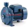 Electric Centrifugal Water CP CPm170 1,5Hp Steel impeller 240V Pedrollo Z1 Pump