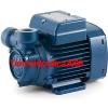Electric Peripheral Water PQ PQm80 1Hp Brass impeller 240V Pedrollo Z1 Pump #1 small image