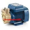 Electric Water with peripheral impeller PQAm 60 0,5Hp 240V Pedrollo Z1 Pump