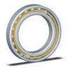 Kaydon Bearings JU055CP0