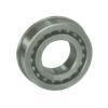 Heim Bearing RBC Bearings RF163216PP