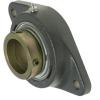 INA RCJTZ30 Flange Block Bearings