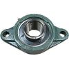 NTN UCFL205-100D1 Flange Block Bearings