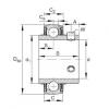 Radial insert ball bearings - UC216-49