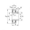 Radial insert ball bearings - GAY012-NPP-B-AS2/V