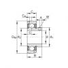 Radial insert ball bearings - GAY107-NPP-B-AS2/V