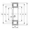 Cylindrical roller bearings - NUP203-E-XL-TVP2