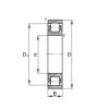 Barrel roller bearings - 20204-TVP