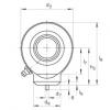 Hydraulic rod ends - GK35-DO