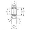 Hydraulic rod ends - GIHNRK100-LO #1 small image