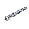 Comp Cams 54-601-11 Mutha Thumpr Hydraulic Roller Camshaft; GM LS Seires;