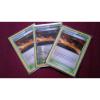POKEMON XY TRAINER / SUPPORTER / TOOL / ENERGY CARDS BUNDLE - 1ST CLASS DELIVERY