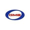 Wheel Bearing and Hub Assembly-Hub Assembly Rear GMB fits 01-07 Ford Focus