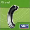 SKF 18992 Grease Seals #2 small image
