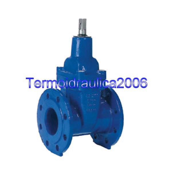 KSB 42275601 CobraSGP Gate valve with bolted bonnet, flat body DN 65 Z1 Pump #1 image