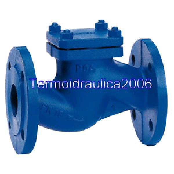 KSB 48909163 BoaR Nonreturn valve DN 65 16 bar Z1 Pump #1 image