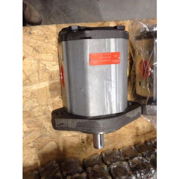 HYDRAULIC GEAR MOTOR ARGOHYTOS ARGO HYTOS GP1Q82RK7FOB 1709000 Pump #1 image